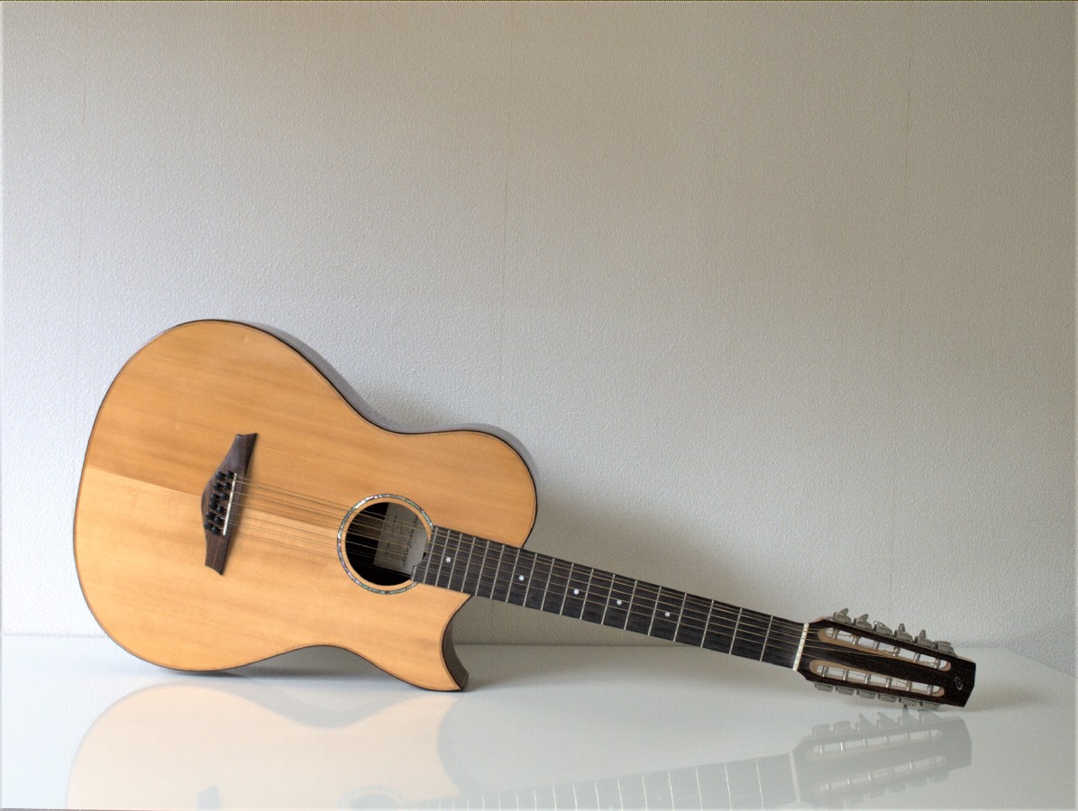 van bergeijk 12 string 